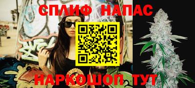 ГАЛЛЮЦИНОГЕННЫЕ ГРИБЫ Кингисепп