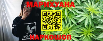 ГАЛЛЮЦИНОГЕННЫЕ ГРИБЫ Кингисепп