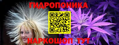 сатива Кинель