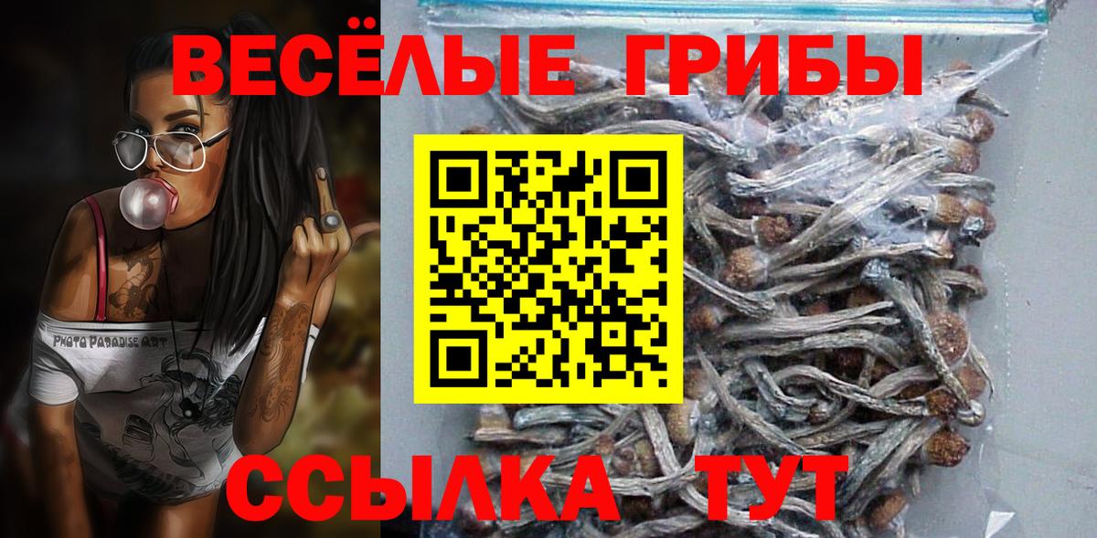 Ялуторовск  Галлюциногенные грибы мицелий  где найти   Галлюциногенные грибы Psilocybine cubensis  Вход с VPN 