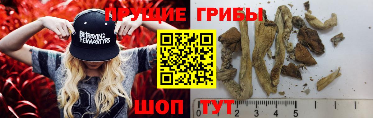 Галлюциногенные грибы мухоморы Ялуторовск